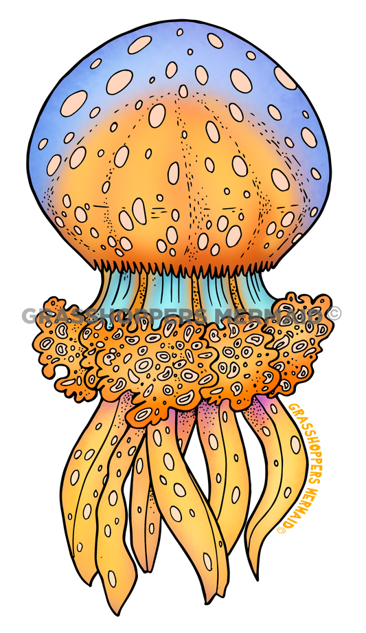 Lagoon Jelly