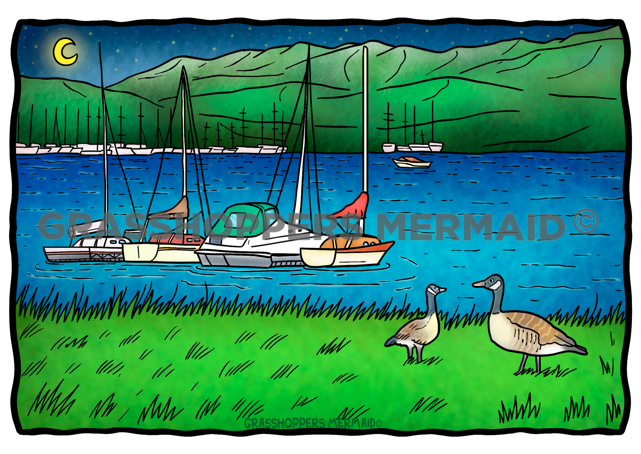 Lake Dillon Night Geese