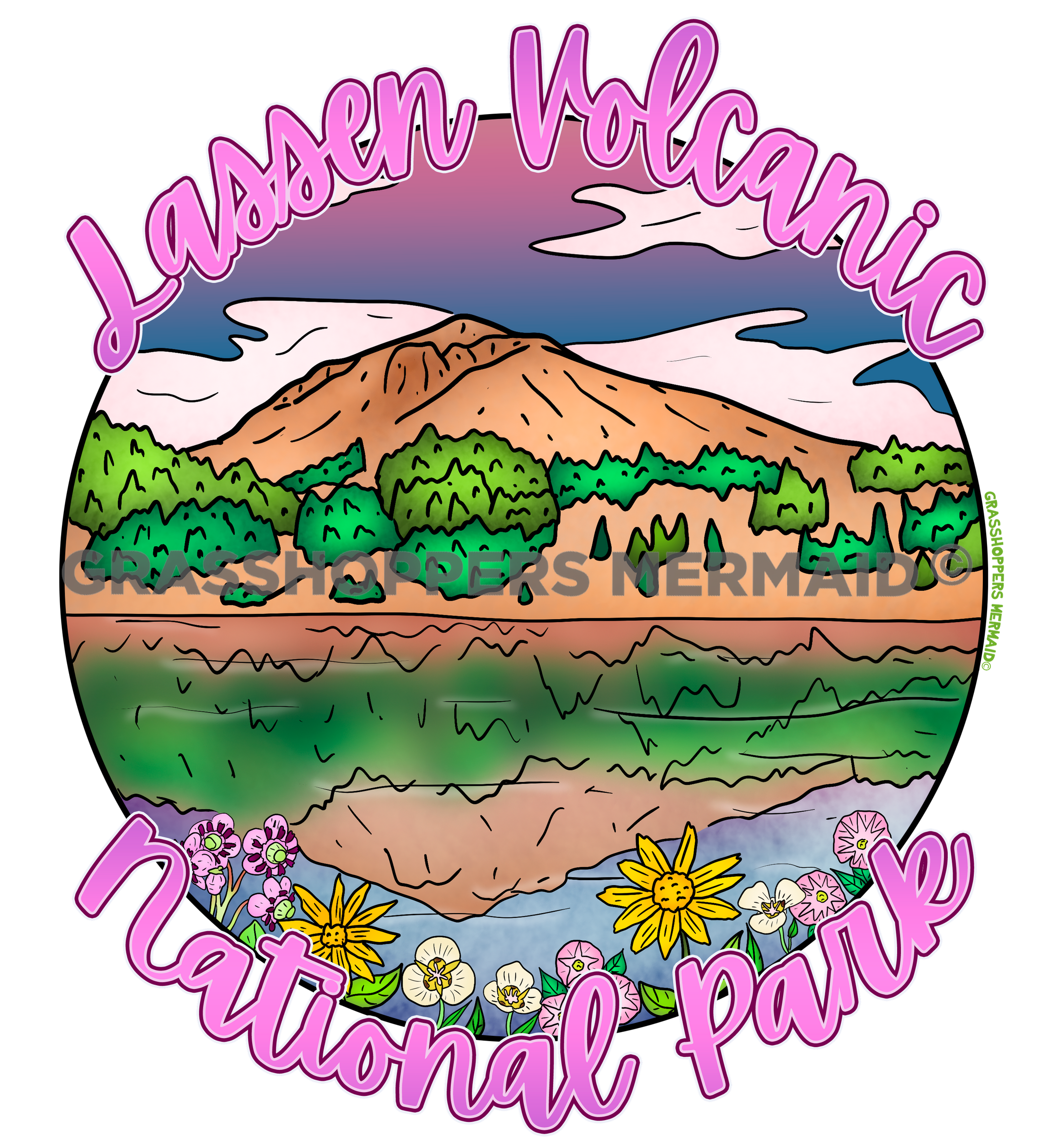 Lassen Reflection Wildflowers