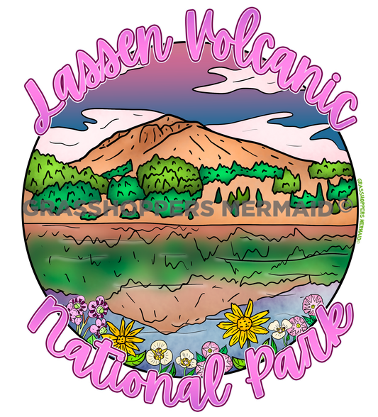 Lassen Reflection Wildflowers