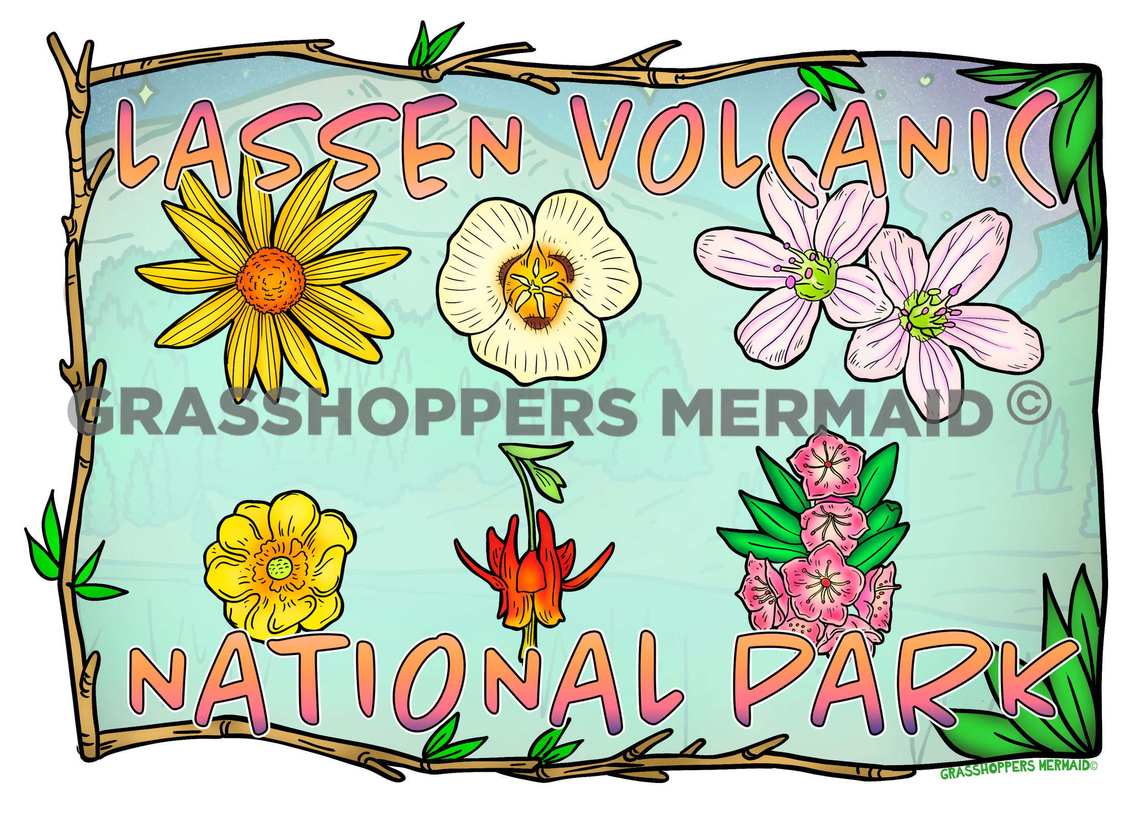 Lassen Wildflower Collage
