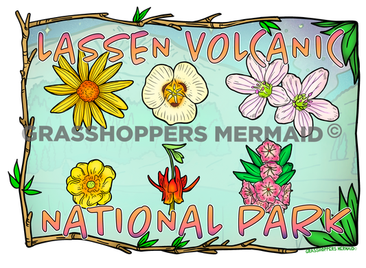 Lassen Wildflower Collage