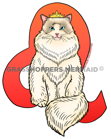 Leo Cat
