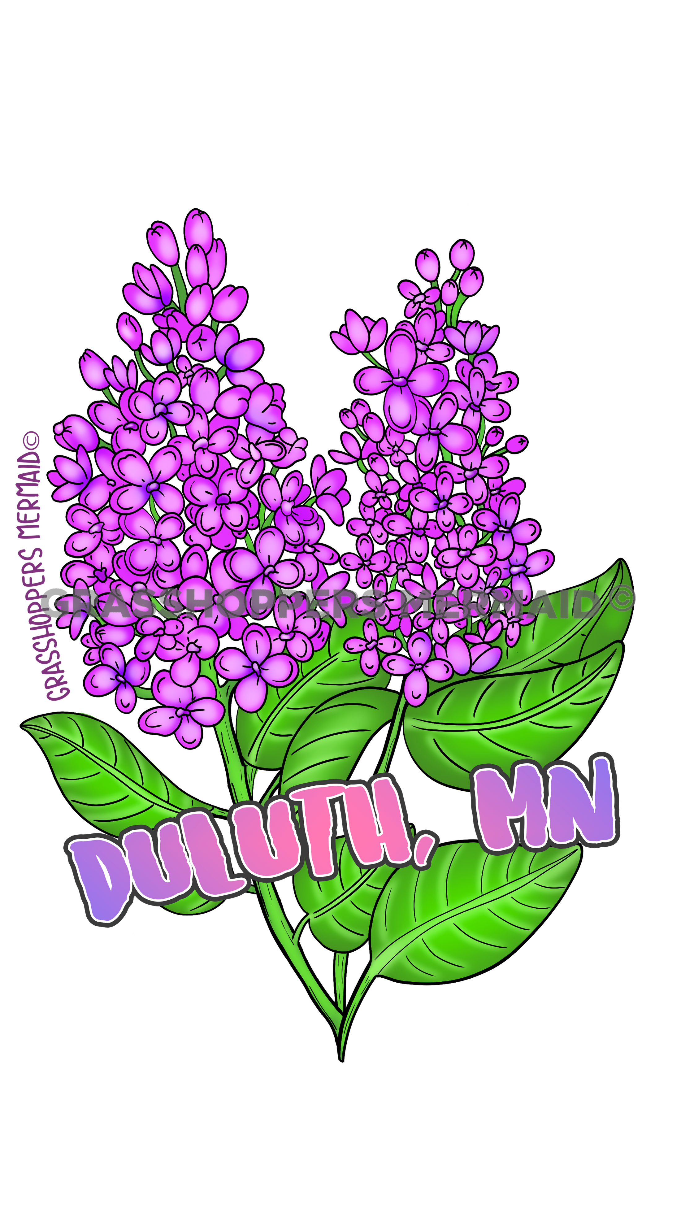 Lilacs