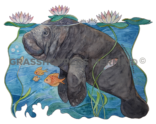 Lily Pad Manatee