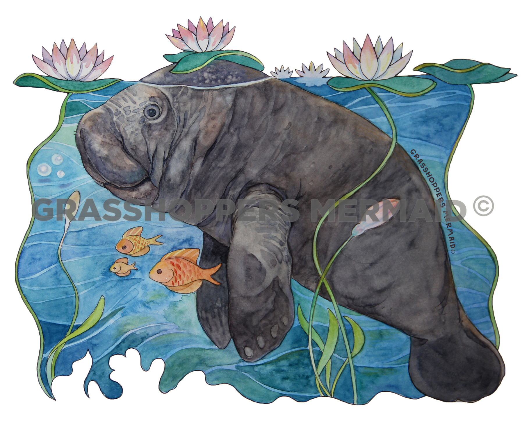 Lily Pad Manatee