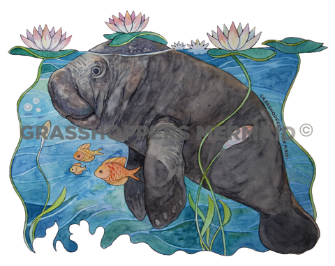 Lily Pad Manatee