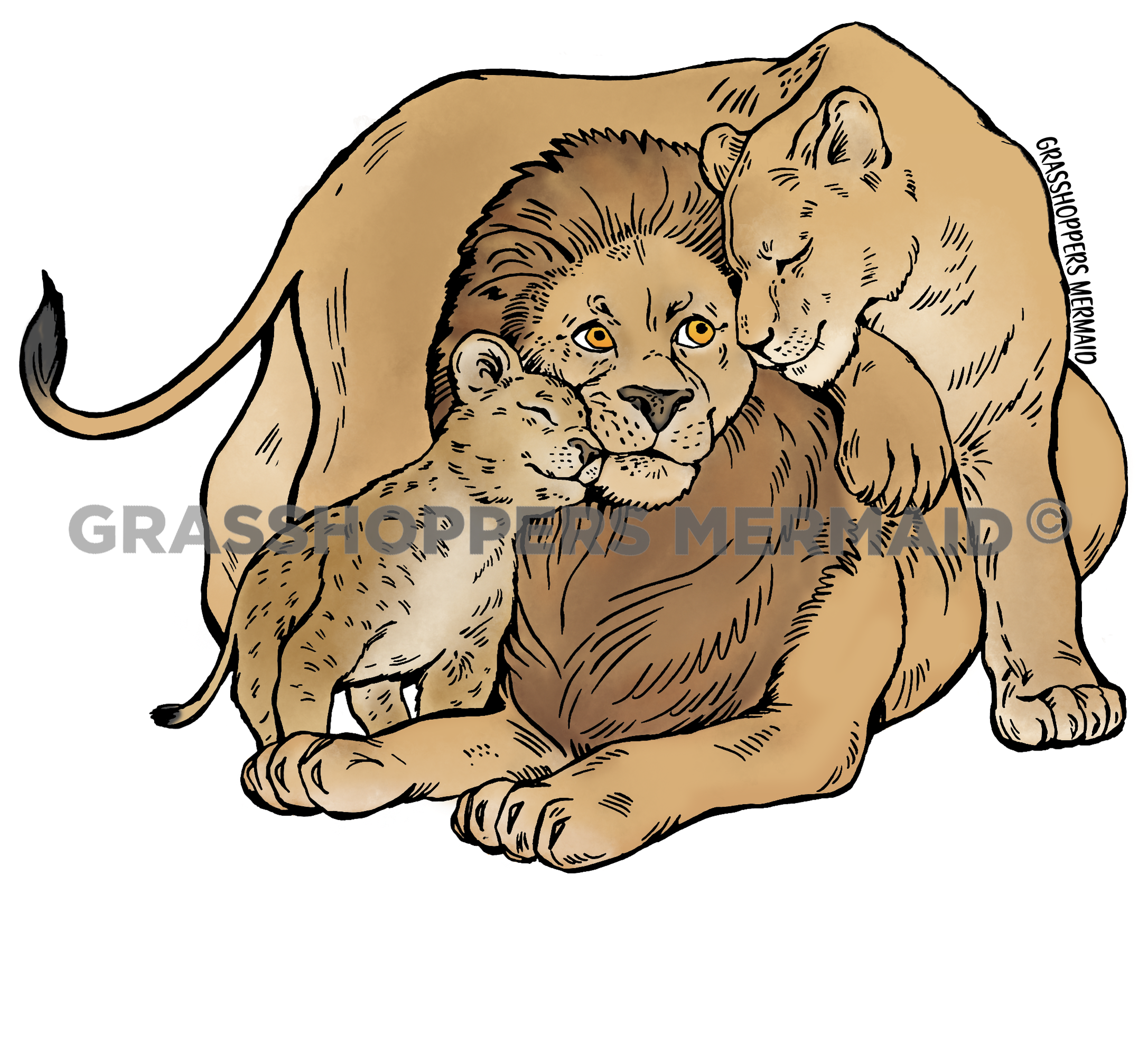 Lion Cub Family