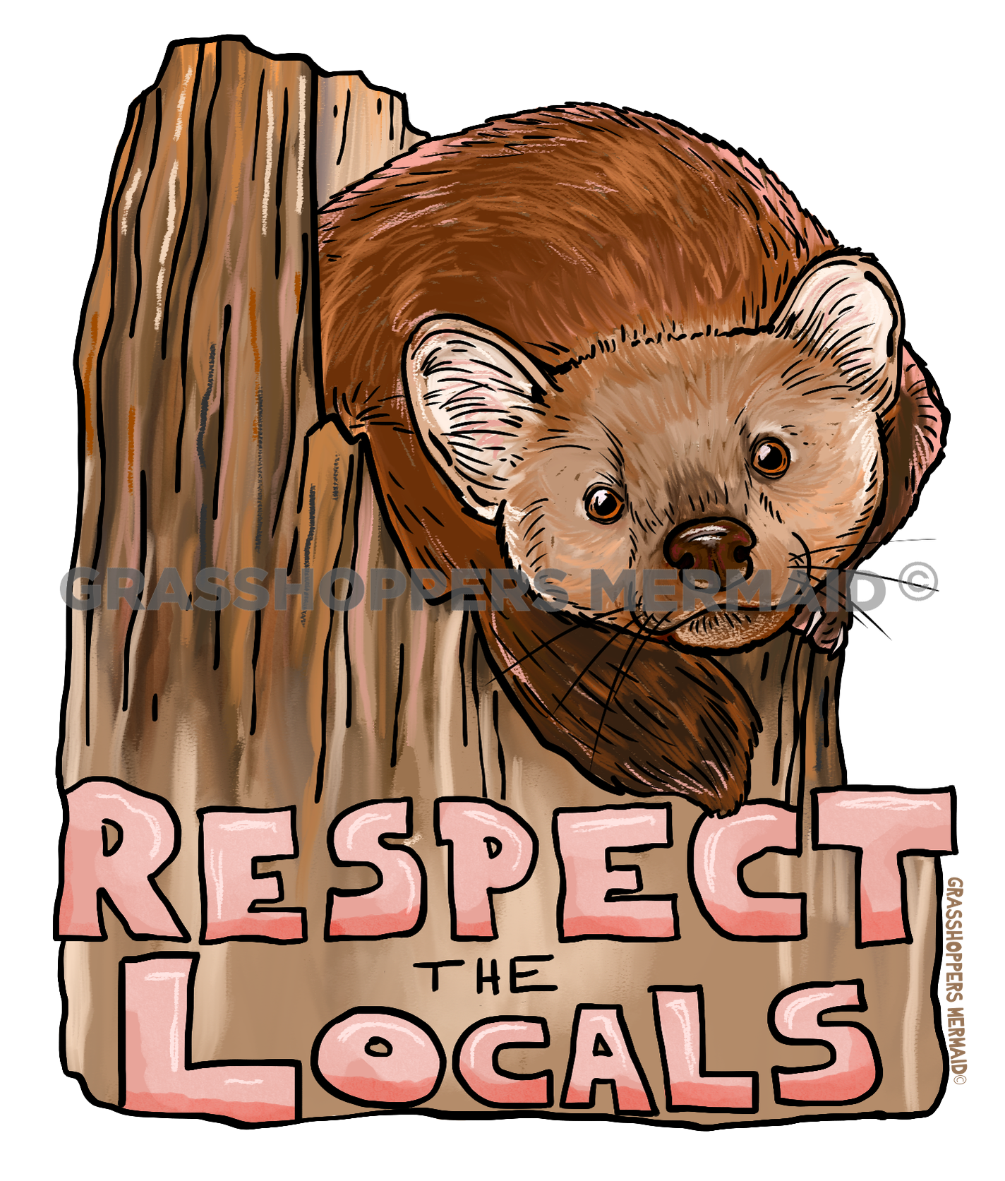 Locals Pine Marten