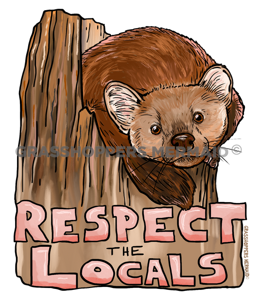 Locals Pine Marten