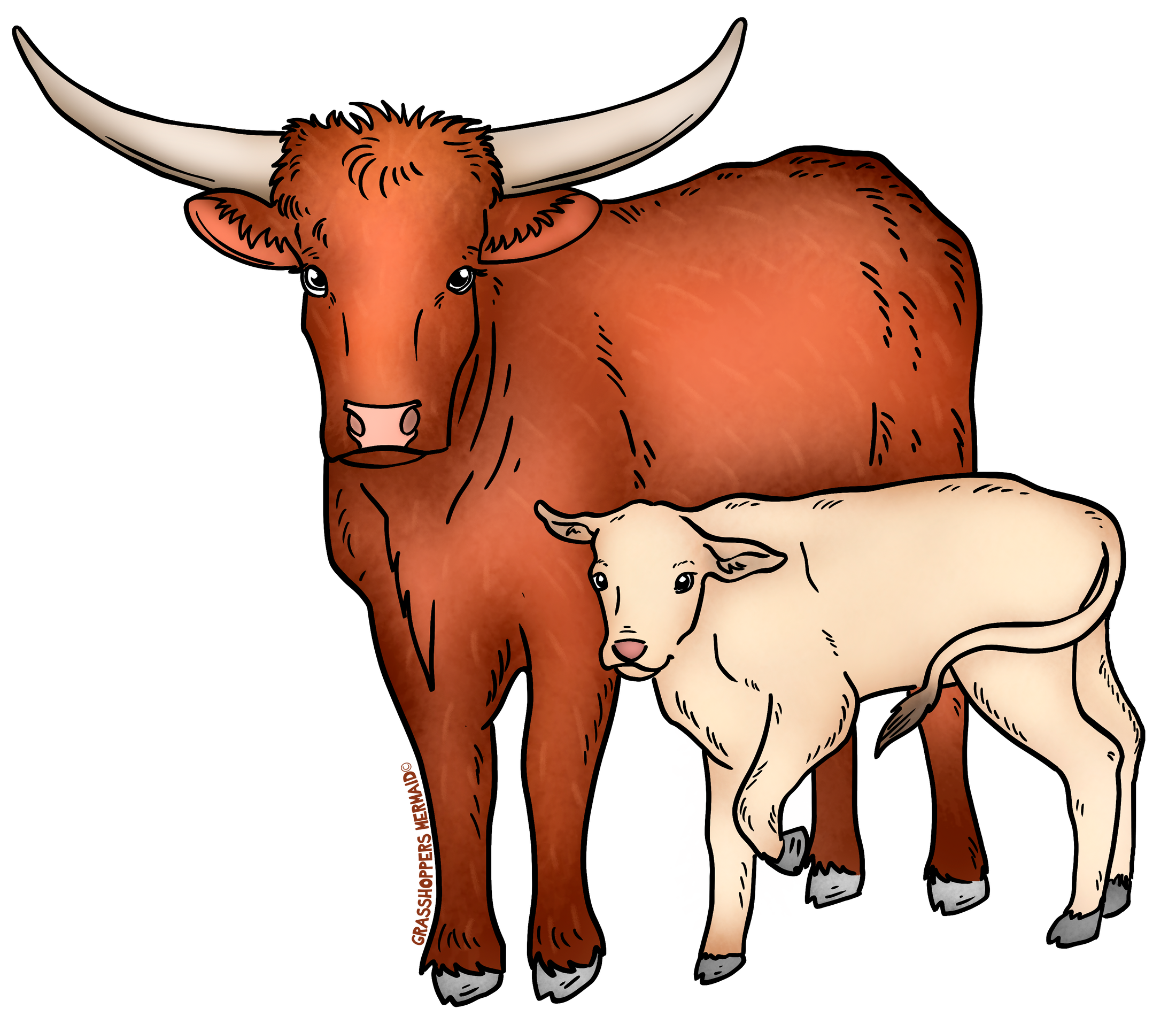 Longhorn & Baby