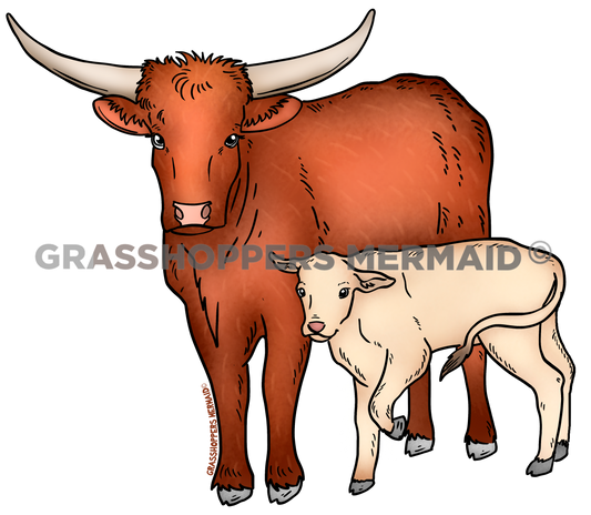 Longhorn & Baby