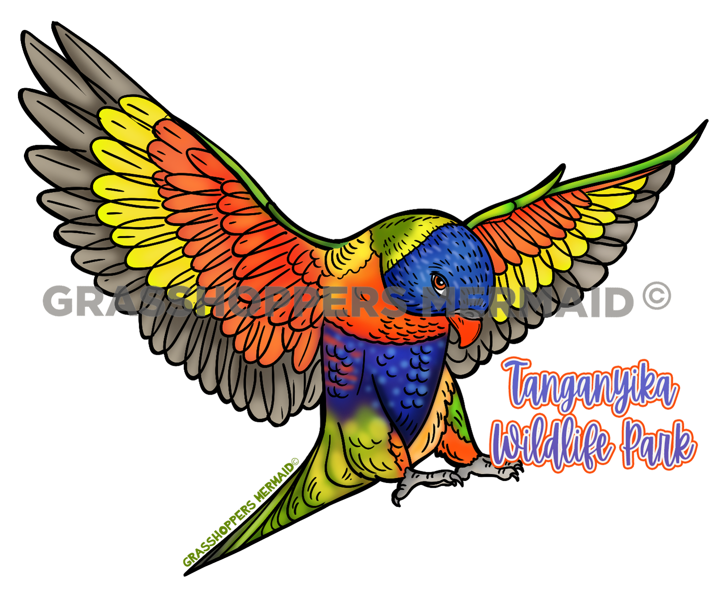 Lorikeet Flight