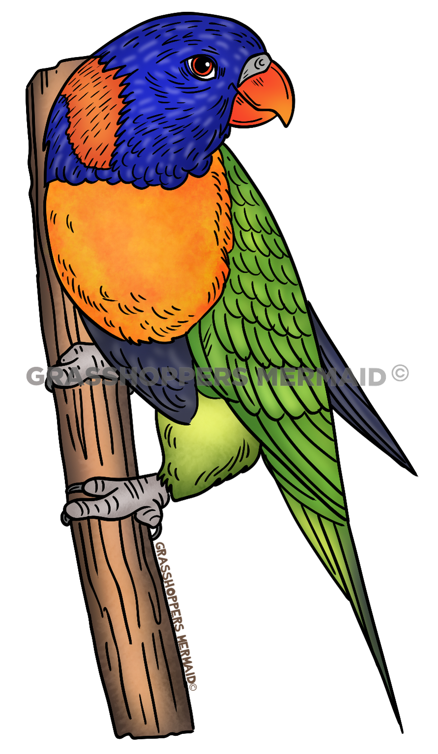 Lorikeet Landing