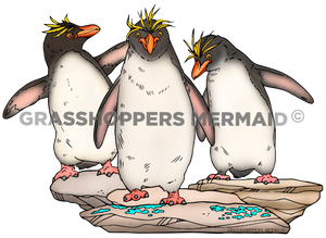 Macaroni Penguin Friends