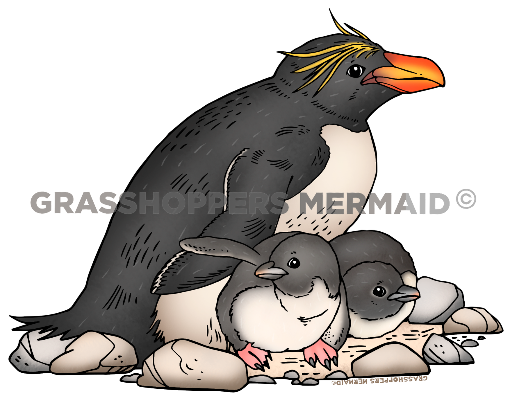Macaroni Penguin Mom