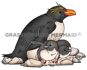 Macaroni Penguin Mom
