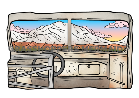 Magic Bus Denali Views