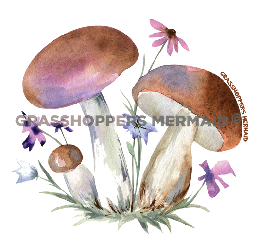 Magical Mushroom Trio