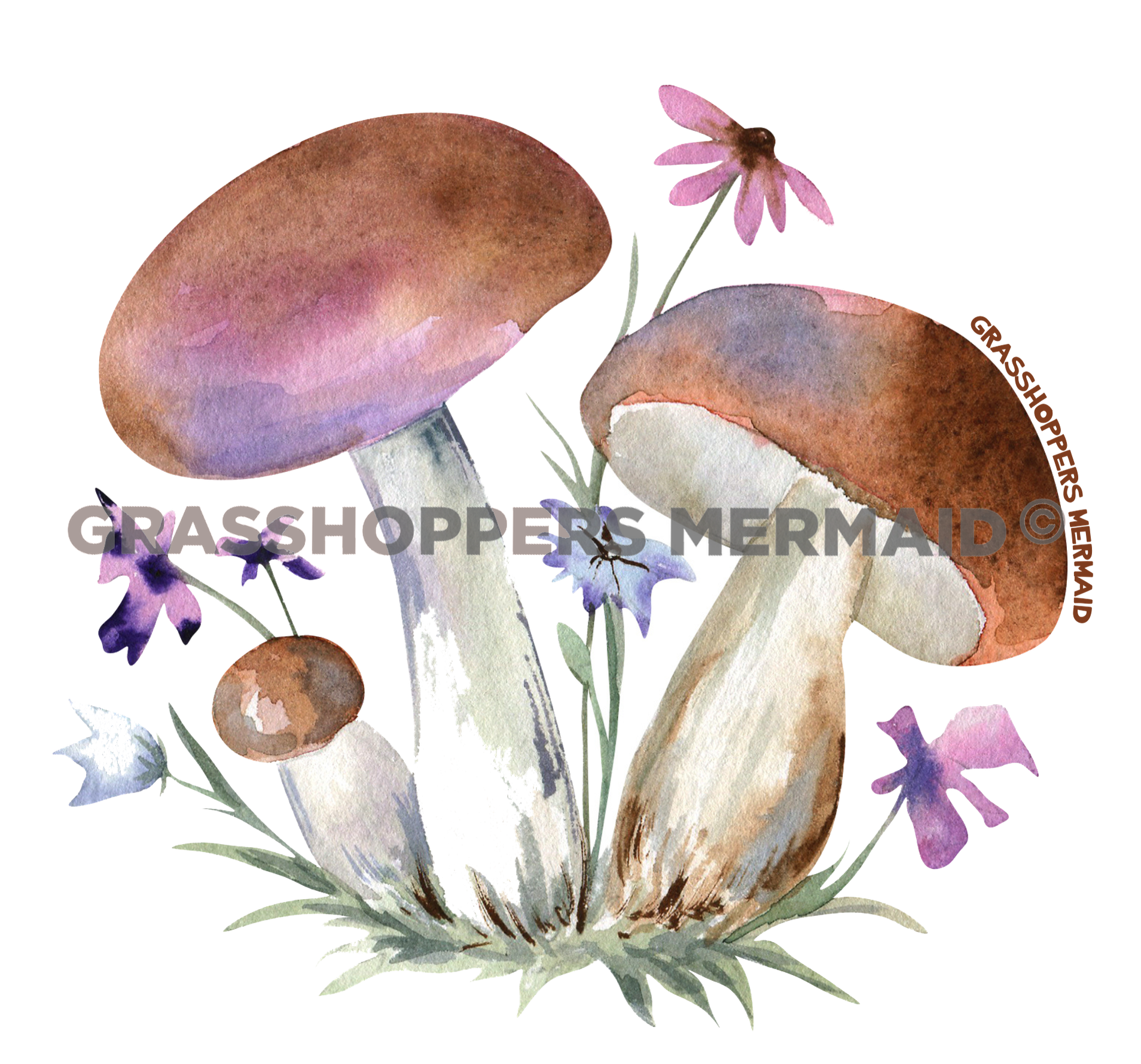 Magical Mushroom Trio