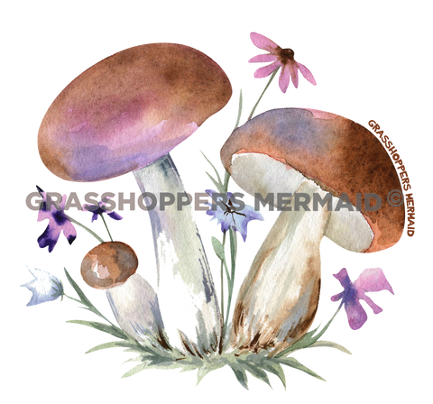 Magical Mushroom Trio