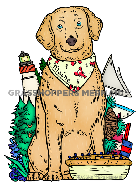 Maine Mascot Pup