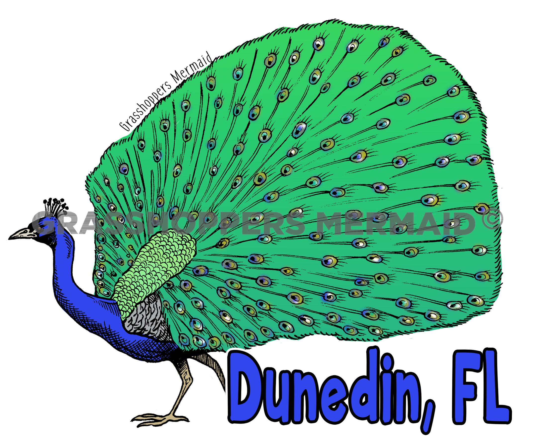 Peacock