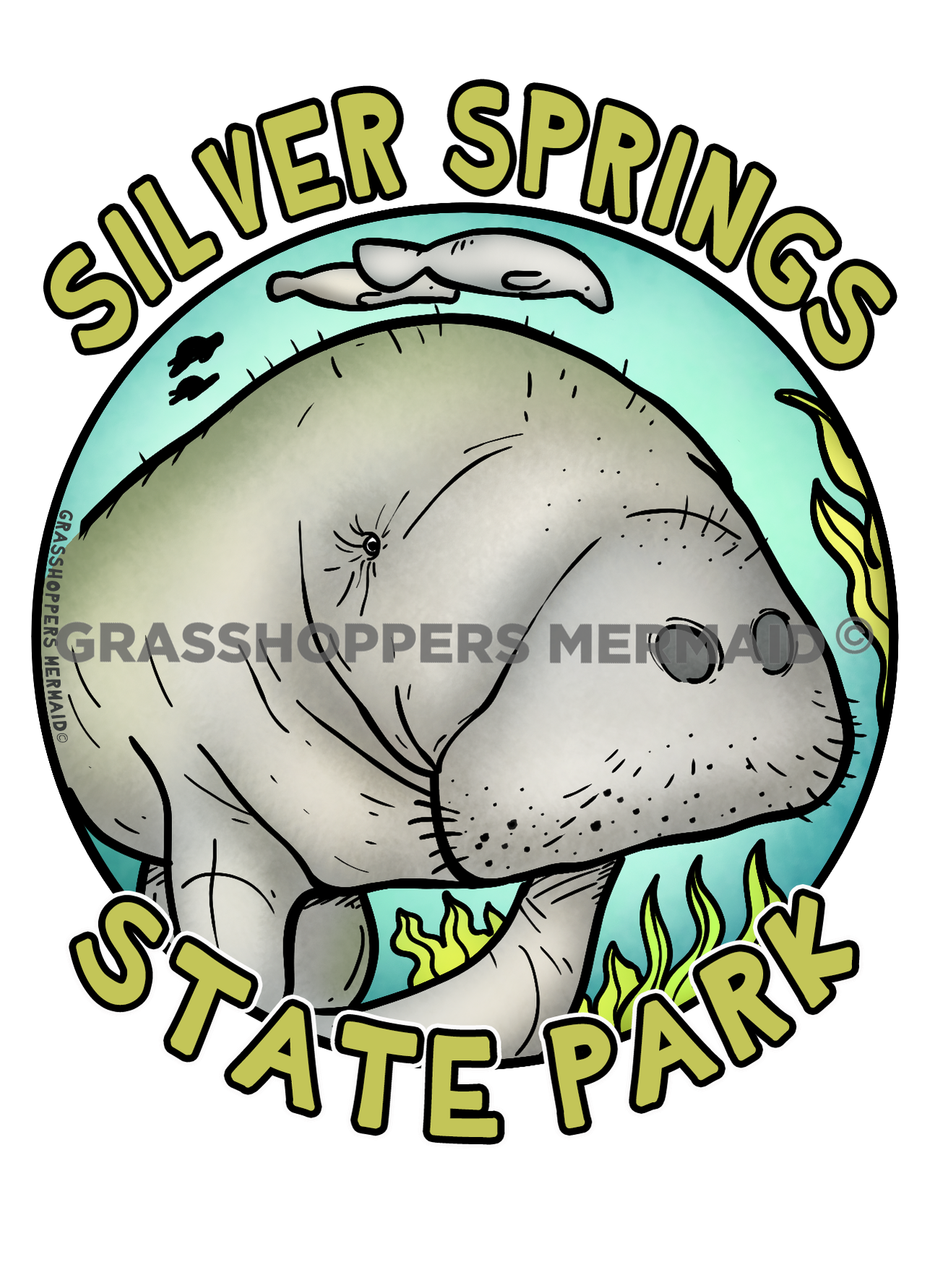 Manatee Fisheye