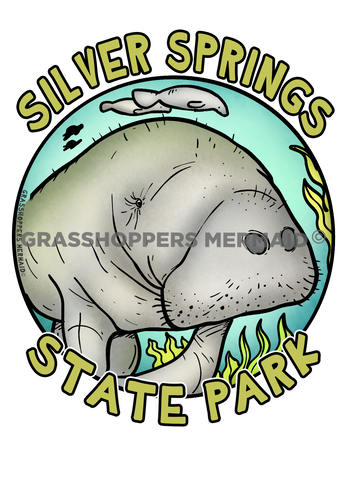 Manatee Fisheye