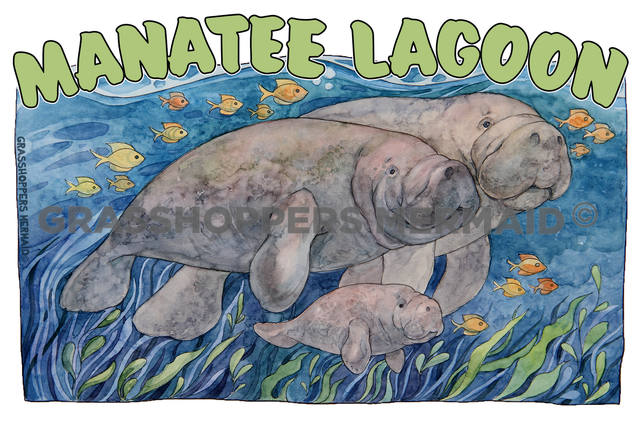Manatee Waves