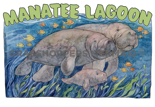 Manatee Waves