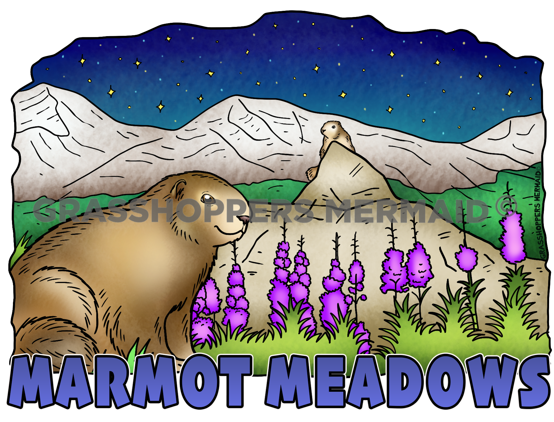 Marmot Meadows Nights
