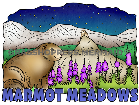 Marmot Meadows Nights