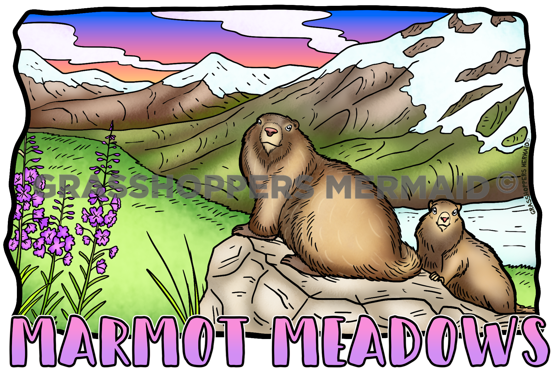 Marmot Meadows