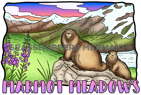 Marmot Meadows