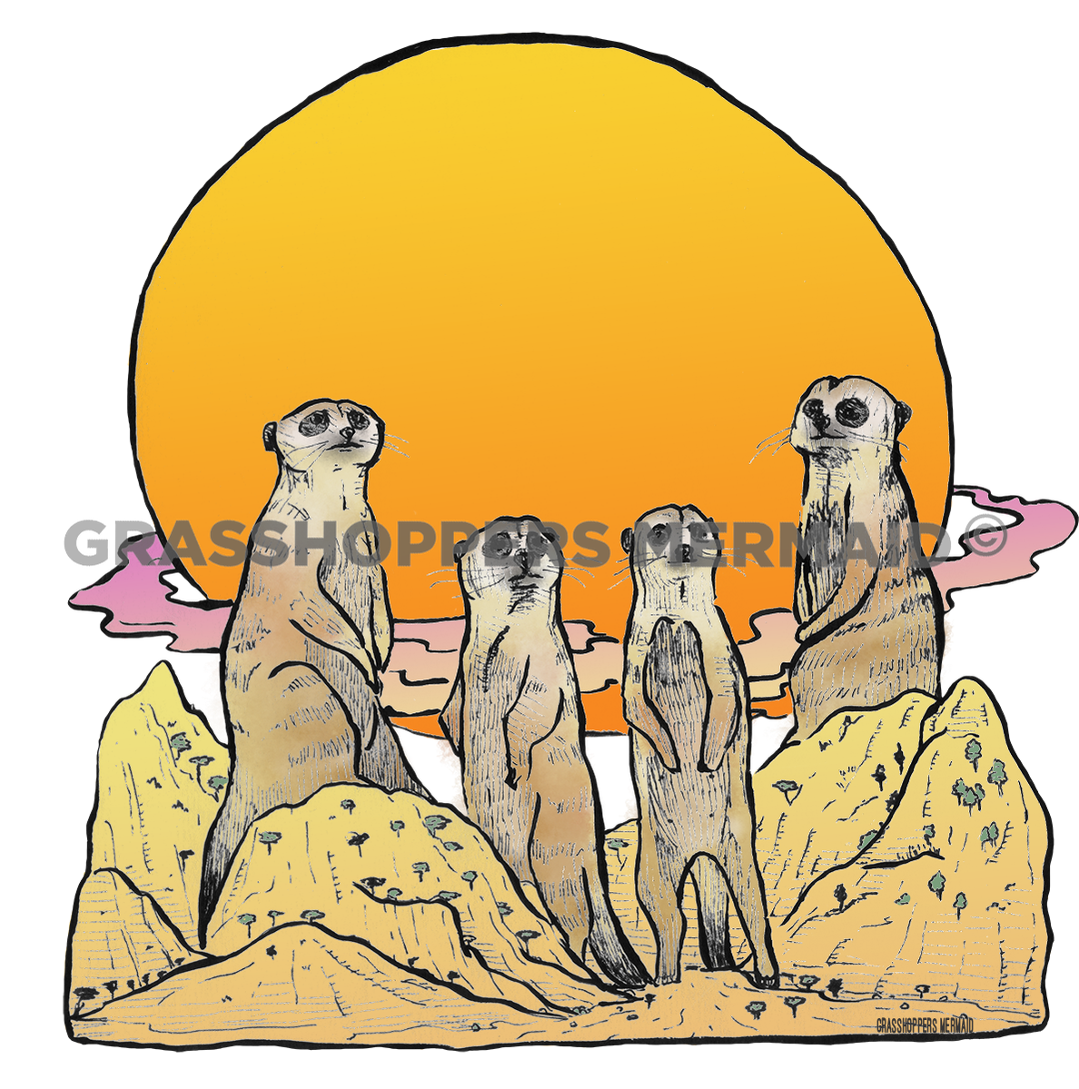 Meerkat Family