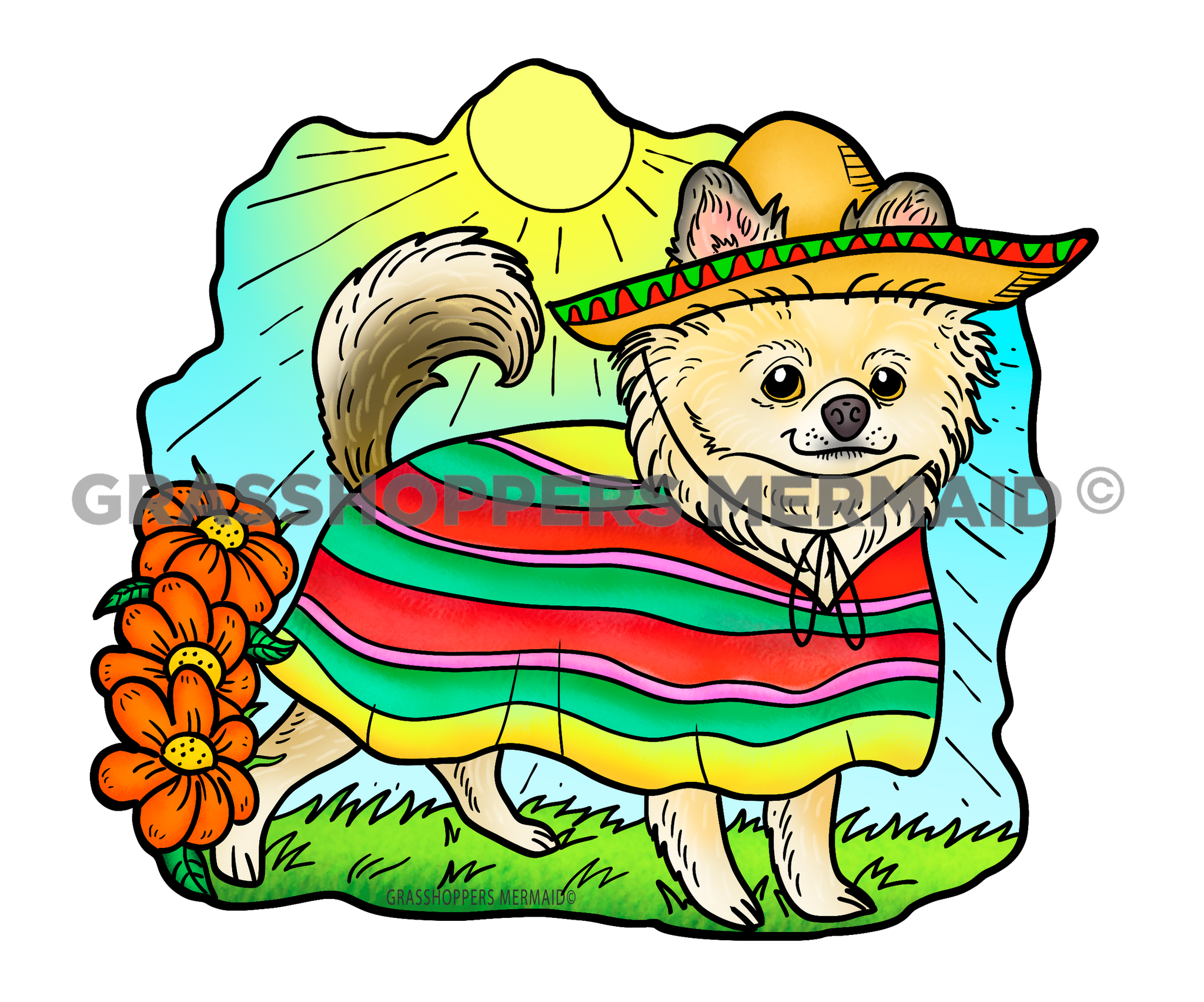 Mexican Chihuahua