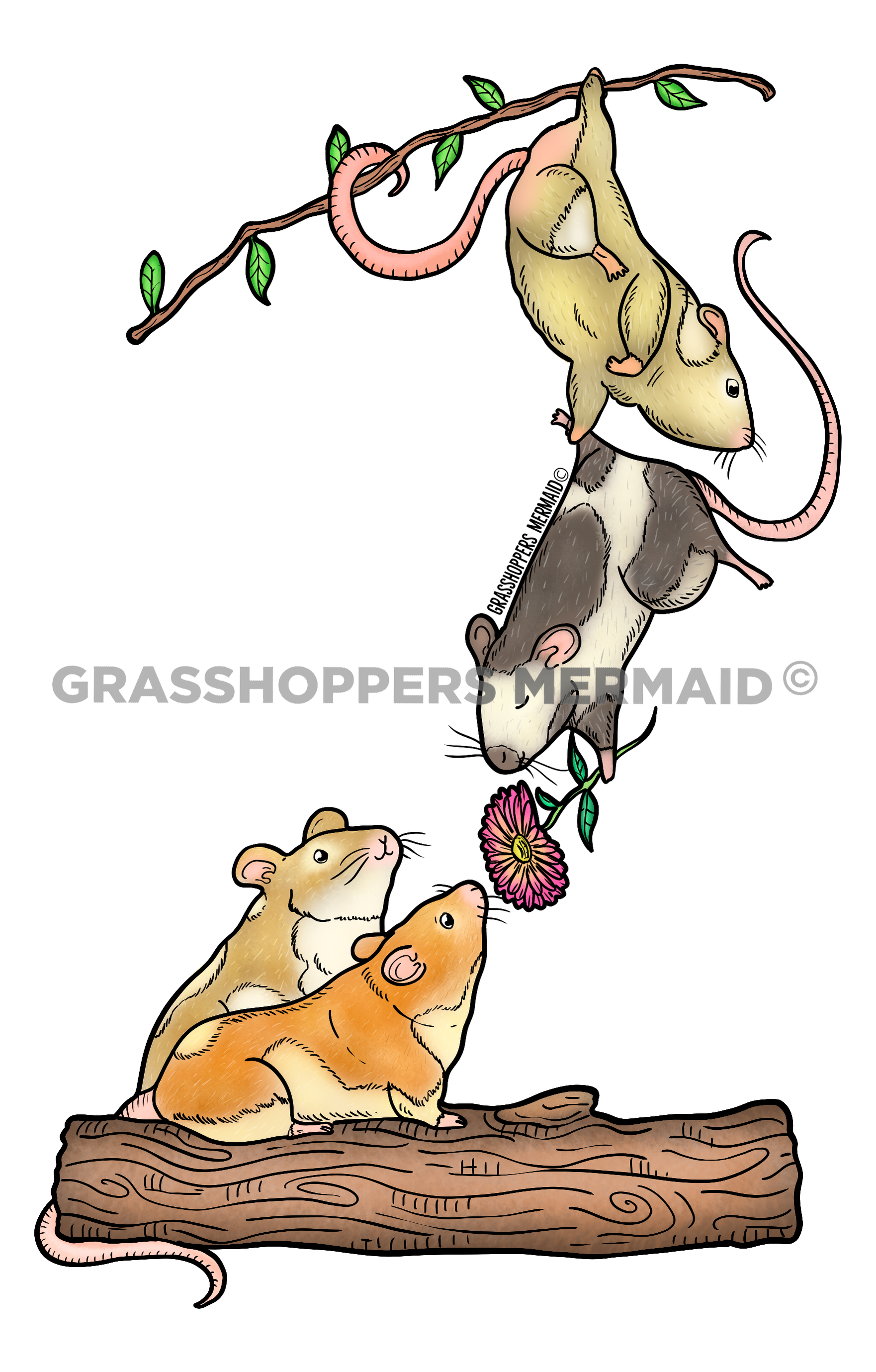 Flowery Mice