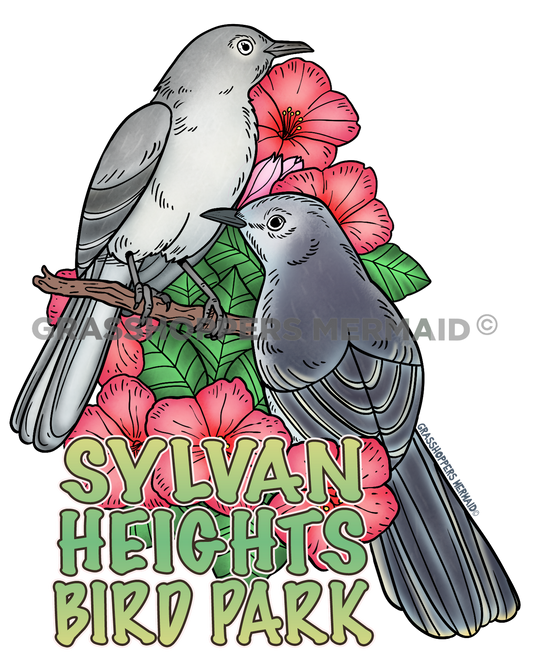 Mockingbird & Flowers