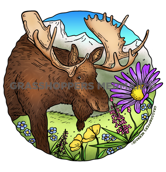 Moose Alaskan Flowers