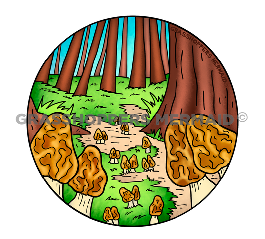 Morel Forest