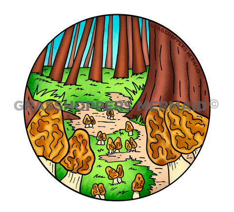 Morel Forest