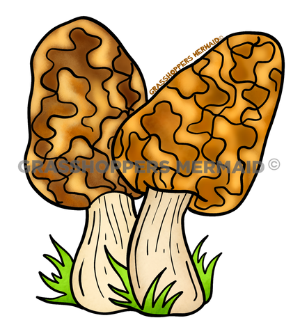 Morel Mushroom Twins