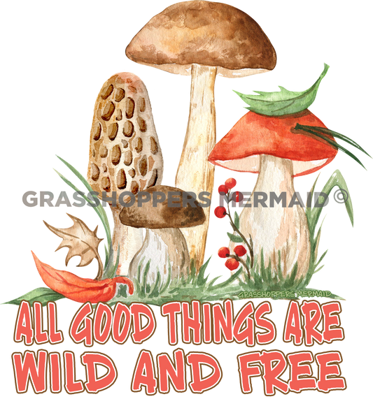 Morel Mushroom Family