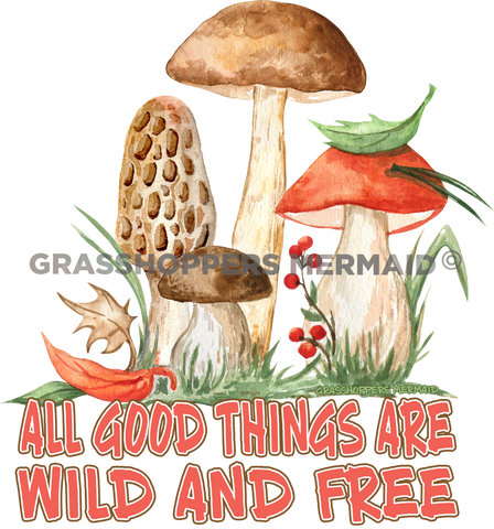 Morel Mushroom Family