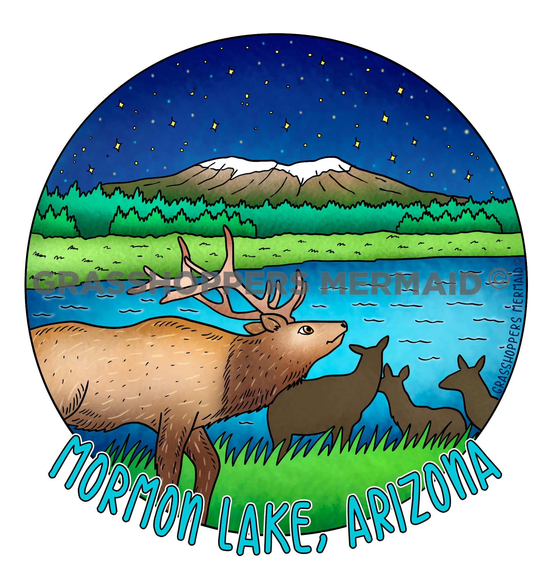 Mormon Lake Elk Nights