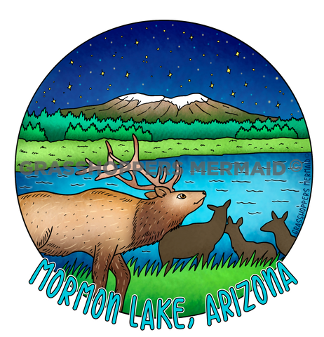 Mormon Lake Elk Nights