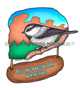 Mountain Chickadee