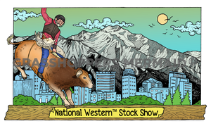 Mountain City Cowboy