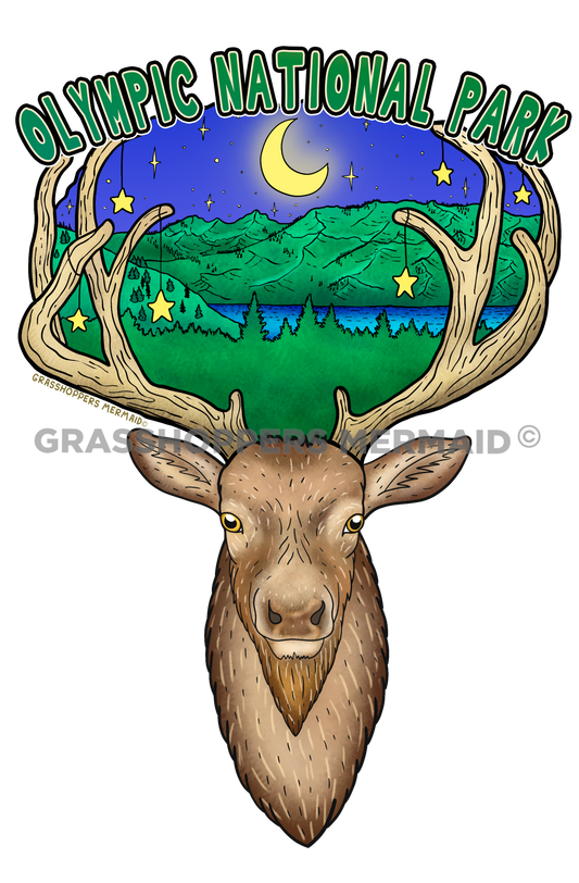 Elk Mountain Rack